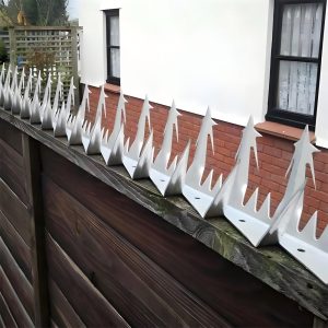 Factory Supply Galvanized Wall Top Security Spikes for Fence Safety